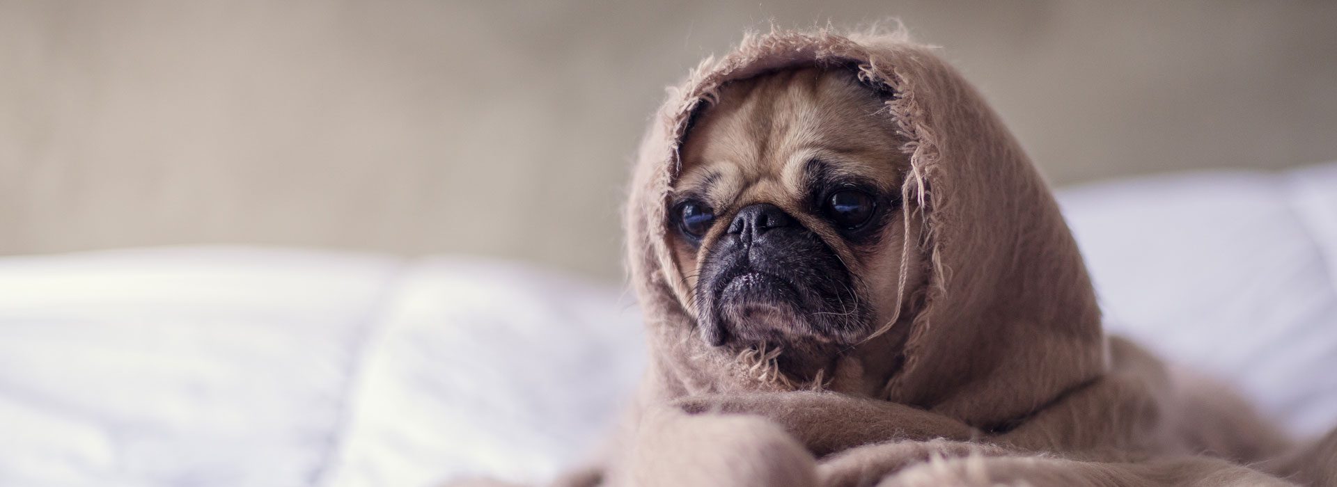 Akzente4you Paketangebote für schnell und preiswert erstellte Internetseiten. Nutzung des Fotos unter CC0 1.0