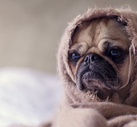 Akzente4you Paketangebote für schnell und preiswert erstellte Internetseiten. Nutzung des Fotos unter CC0 1.0